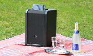 LD Systems Anny 8 Soundsystem auf einer Campingdecke mit Sekt und zwei Gläsern, fotografiert von vorn.